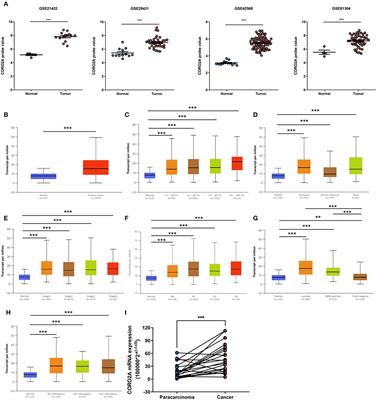 Effects of CORO2A on Cell Migration and Proliferation and Its Potential Regulatory Network in Breast Cancer